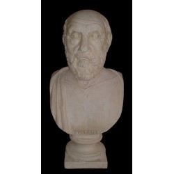 LB 109 Ippocrate h. cm. 62