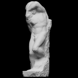 LS 391 Schiavo Giovane di Michelangelo h. cm. 256