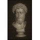 LB 338 Testa Marco Aurelio h. cm. 50