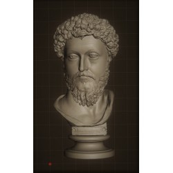 LB 338 Testa Marco Aurelio h. cm. 50
