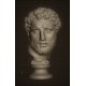 LB 348  Testa Apoxyomenos - Musei Vaticani h. cm. 50