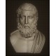 LB 354 Busto Hermarchos h. cm. 50
