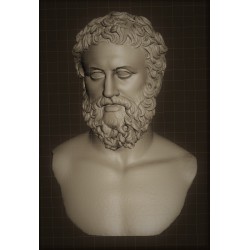 LB 356 Busto Unknown Philosopher h. cm. 50