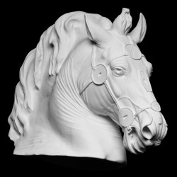 LB 366 Testa Cavallo di Marco Aurelio Museo Capitolino Roma h. cm. 60