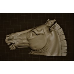 LB 368 Horse Head (Testa Cavallo ) h. cm. 83x125