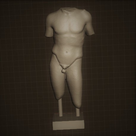 RID 23 Torso Atleta h. cm. 40